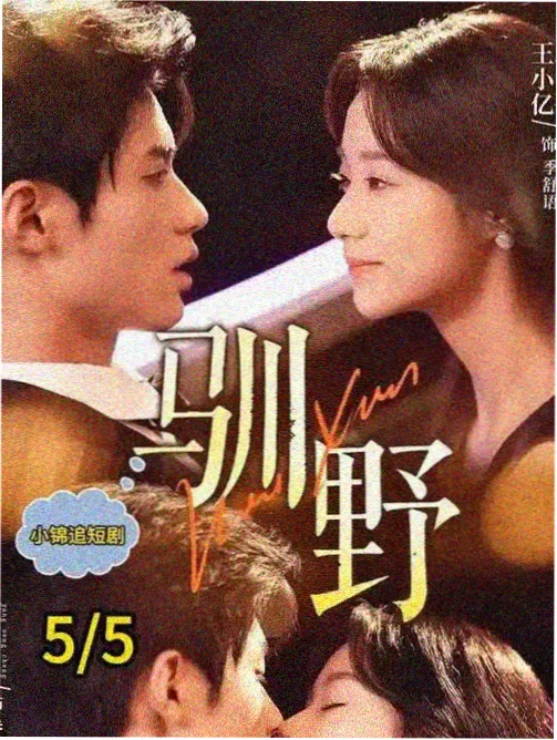 动漫漫画分区说明配图